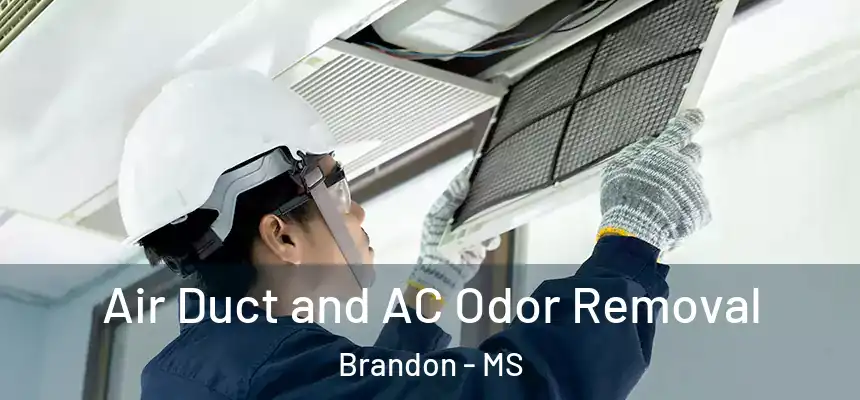  Air Duct and AC Odor Removal Brandon - MS