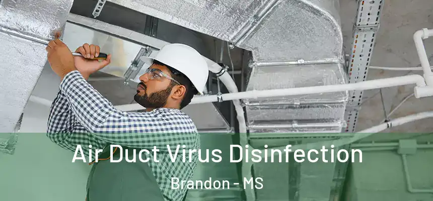  Air Duct Virus Disinfection Brandon - MS