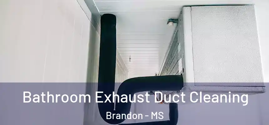 Bathroom Exhaust Duct Cleaning Brandon - MS