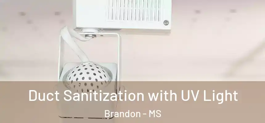  Duct Sanitization with UV Light Brandon - MS