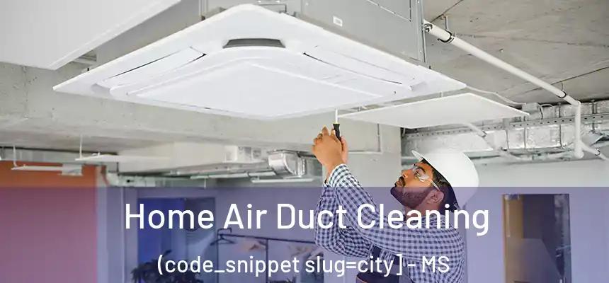  Home Air Duct Cleaning (code_snippet slug=city] - MS
