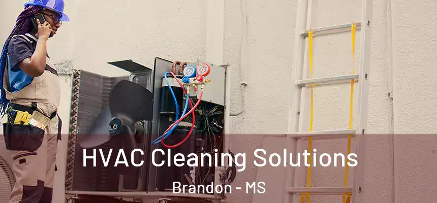 HVAC Cleaning Solutions Brandon - MS