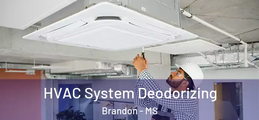 HVAC System Deodorizing Brandon - MS