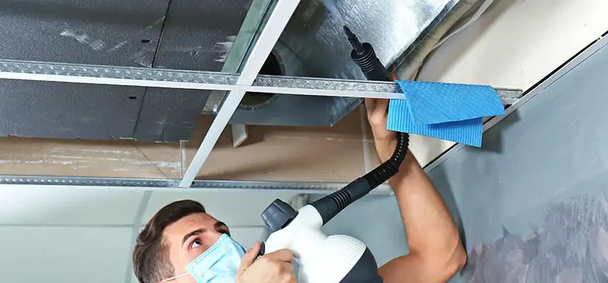 Our Air Duct Rodent Removal Services in Brandon, MS