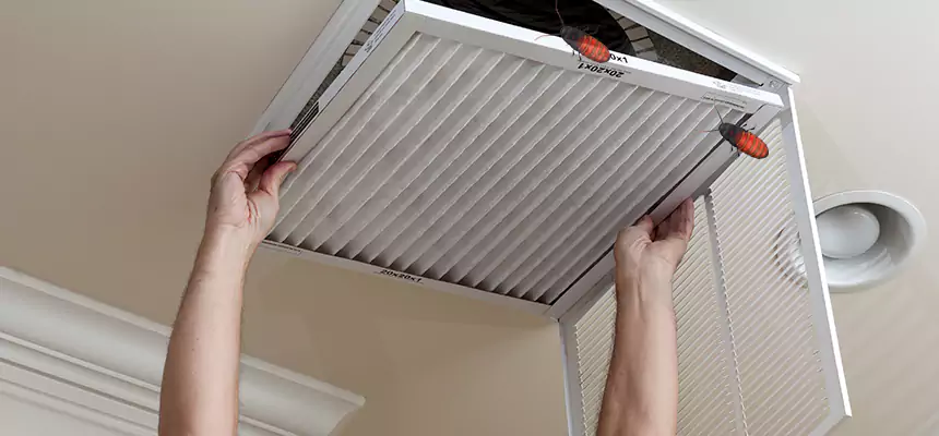Our Insect Removal from Air Ducts Services in Brandon, MS