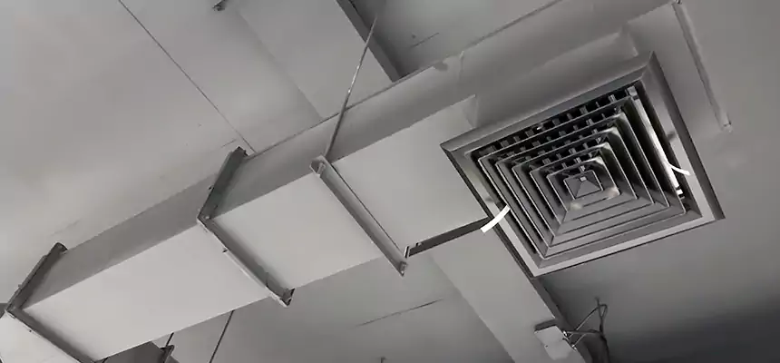 Our Rodent Droppings In Vents Services in Brandon, MS