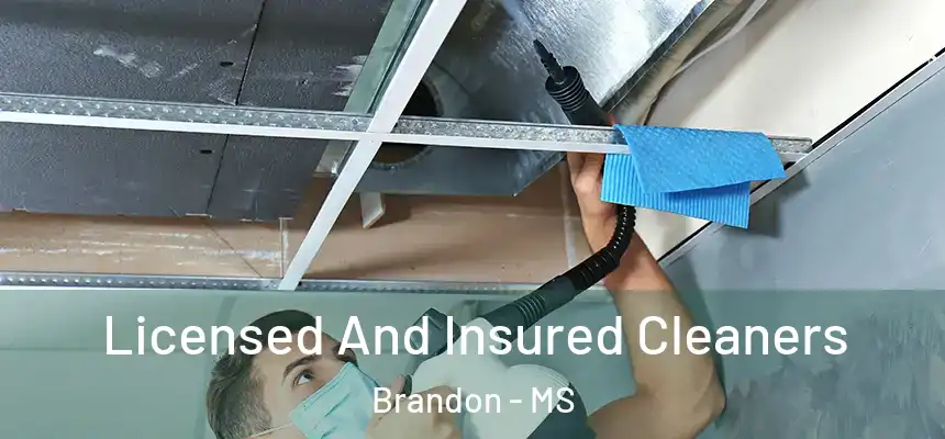  Licensed And Insured Cleaners Brandon - MS