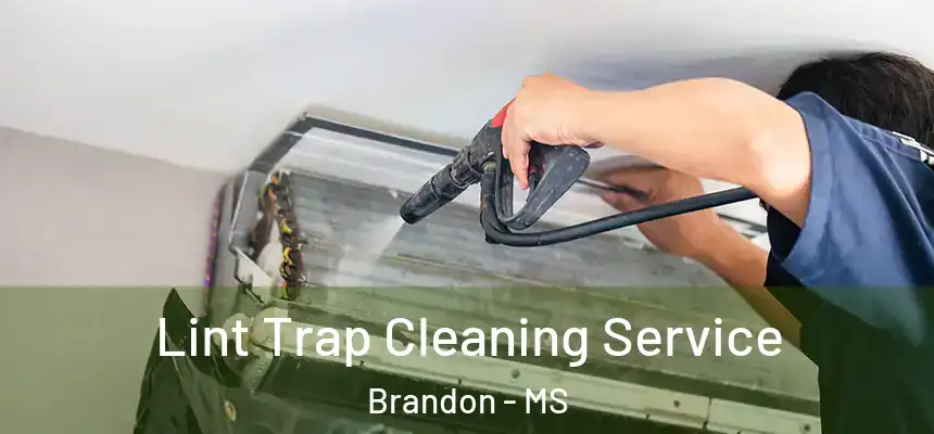  Lint Trap Cleaning Service Brandon - MS