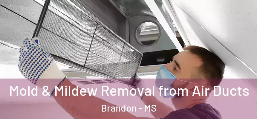  Mold & Mildew Removal from Air Ducts Brandon - MS