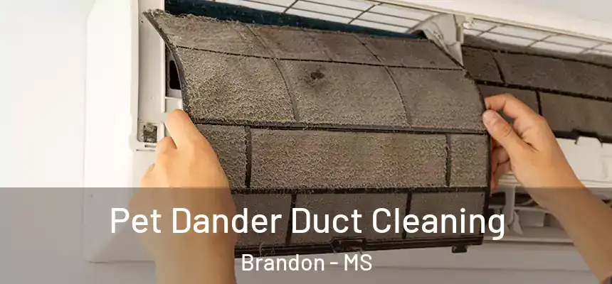  Pet Dander Duct Cleaning Brandon - MS