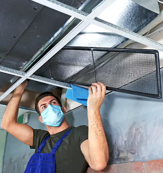 About Air Duct Bacteria Removal in Brandon
