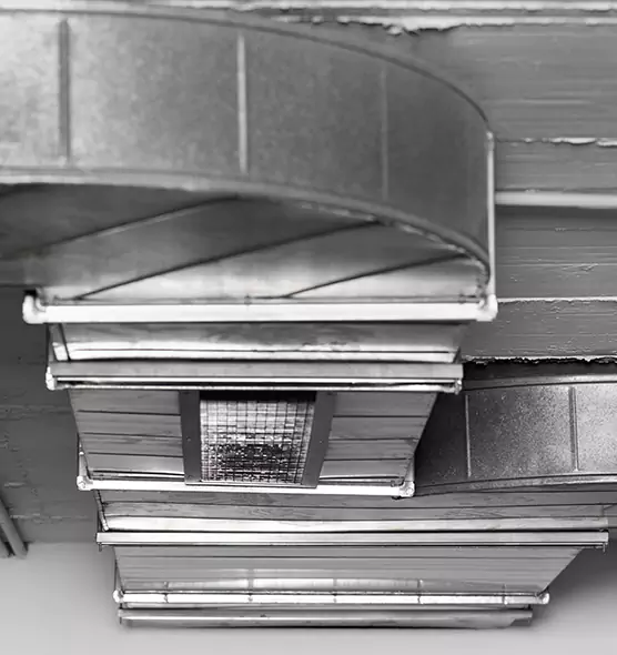 Professional Air Duct Pet Hair Removal in Brandon, MS