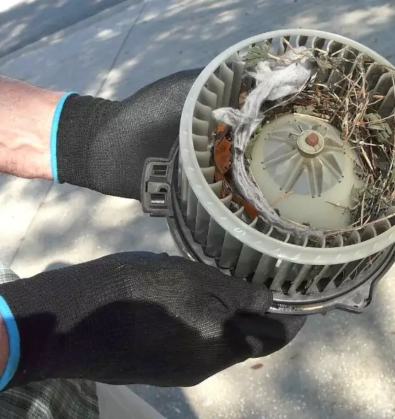 About Air Duct Rat Removal in Brandon, MS