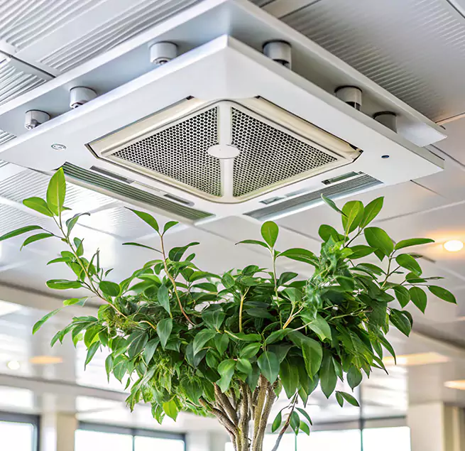 Why Homeowners & Businesses Trust Us in Brandon, MS?